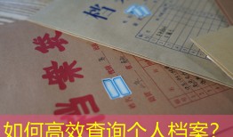 如何高效查询个人档案？