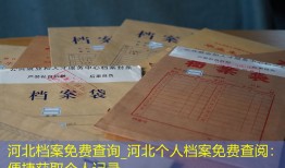 河北档案免费查询_河北个人档案免费查阅：便捷获取个人记录
