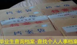 毕业生查询档案-查找个人人事档案