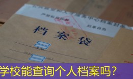 学校能查询个人档案吗？