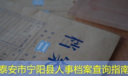 泰安市宁阳县人事档案查询指南