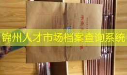 锦州人才市场档案查询系统