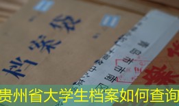 贵州省大学生档案如何查询