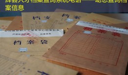 辉县人才档案查询系统电话——助您查询档案信息
