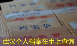 武汉个人档案在手上查询