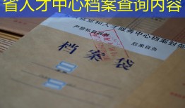 省人才中心档案查询内容