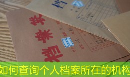 如何查询个人档案所在的机构