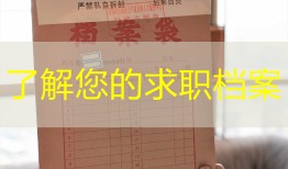 了解您的求职档案