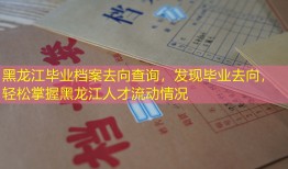 黑龙江毕业档案去向查询，发现毕业去向，轻松掌握黑龙江人才流动情况