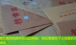 湖北查询档案所在地的网站：轻松掌握您个人档案的存储地