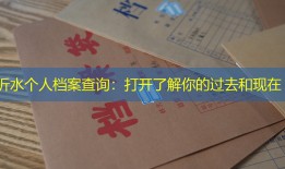 沂水个人档案查询：打开了解你的过去和现在