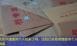 沈阳开通查询个人档案了吗：沈阳已实现便捷查询个人档案