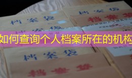 如何查询个人档案所在的机构