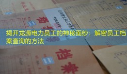 揭开龙源电力员工的神秘面纱：解密员工档案查询的方法