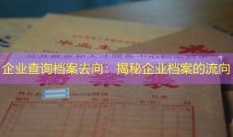 企业查询档案去向：揭秘企业档案的流向