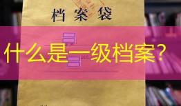 什么是一级档案？