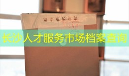 长沙人才服务市场档案查询