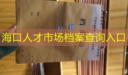 海口人才市场档案查询入口