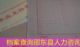 档案查询邵东县人力咨询