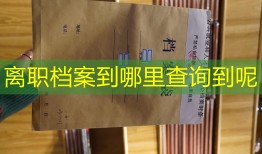 离职档案到哪里查询到呢