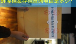 蚌埠档案存档查询电话是多少？