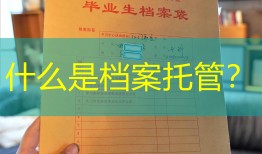什么是档案托管？
