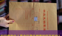 如何查询个人高中往届生档案的所在机构？