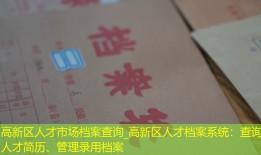 高新区人才市场档案查询_高新区人才档案系统：查询人才简历、管理录用档案