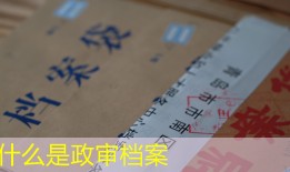什么是政审档案