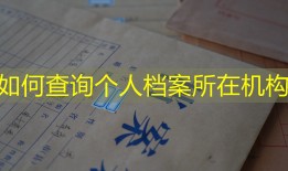 如何查询个人档案所在机构