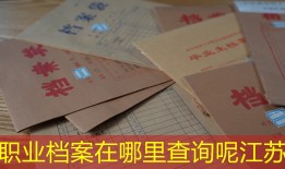 职业档案在哪里查询呢江苏