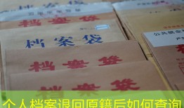 个人档案退回原籍后如何查询