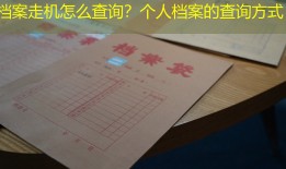 档案走机怎么查询？个人档案的查询方式