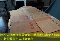 扬州市个人档案在哪里查询：掌握扬州市个人档案查询方法，轻松获取个人档案信息