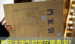 肥东大学生档案在哪查询？