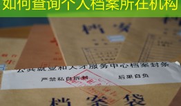 如何查询个人档案所在机构