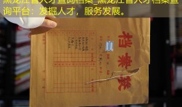 黑龙江省人才查询档案_黑龙江省人才档案查询平台：发掘人才，服务发展。