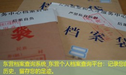东营档案查询系统_东营个人档案查询平台：记录您的历史，留存您的足迹。