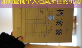 如何查询个人档案所在的机构