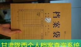甘肃陇西个人档案查询系统