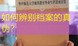如何辨别档案的真伪？