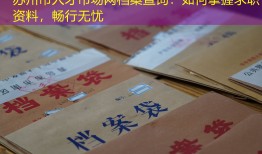 苏州市人才市场网档案查询：如何掌握求职资料，畅行无忧