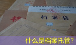 什么是档案托管？