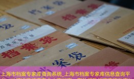 上海市档案专家库查询系统_上海市档案专家库信息查询平台：快速准确搜索专业人事档案，有效提升档案查询效率！
