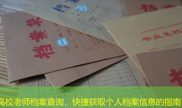 高校老师档案查询，快捷获取个人档案信息的指南