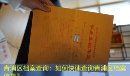 青浦区档案查询：如何快速查询青浦区档案信息？
