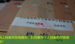 网上档案所在地查询：如何查询个人档案的存放地点？
