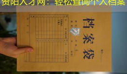 资阳人才网：轻松查询个人档案
