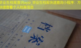 毕业生档案查询app_毕业生档案快速查询小程序：方便快捷查看个人档案信息