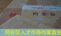 同安区人才市场档案查询
